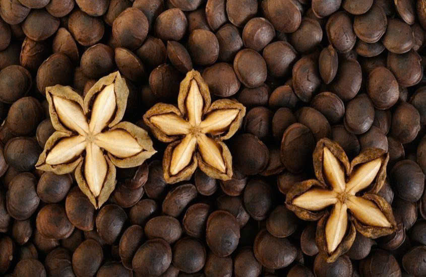 Ngũ cốc Sachi Ngũ cốc Sachi