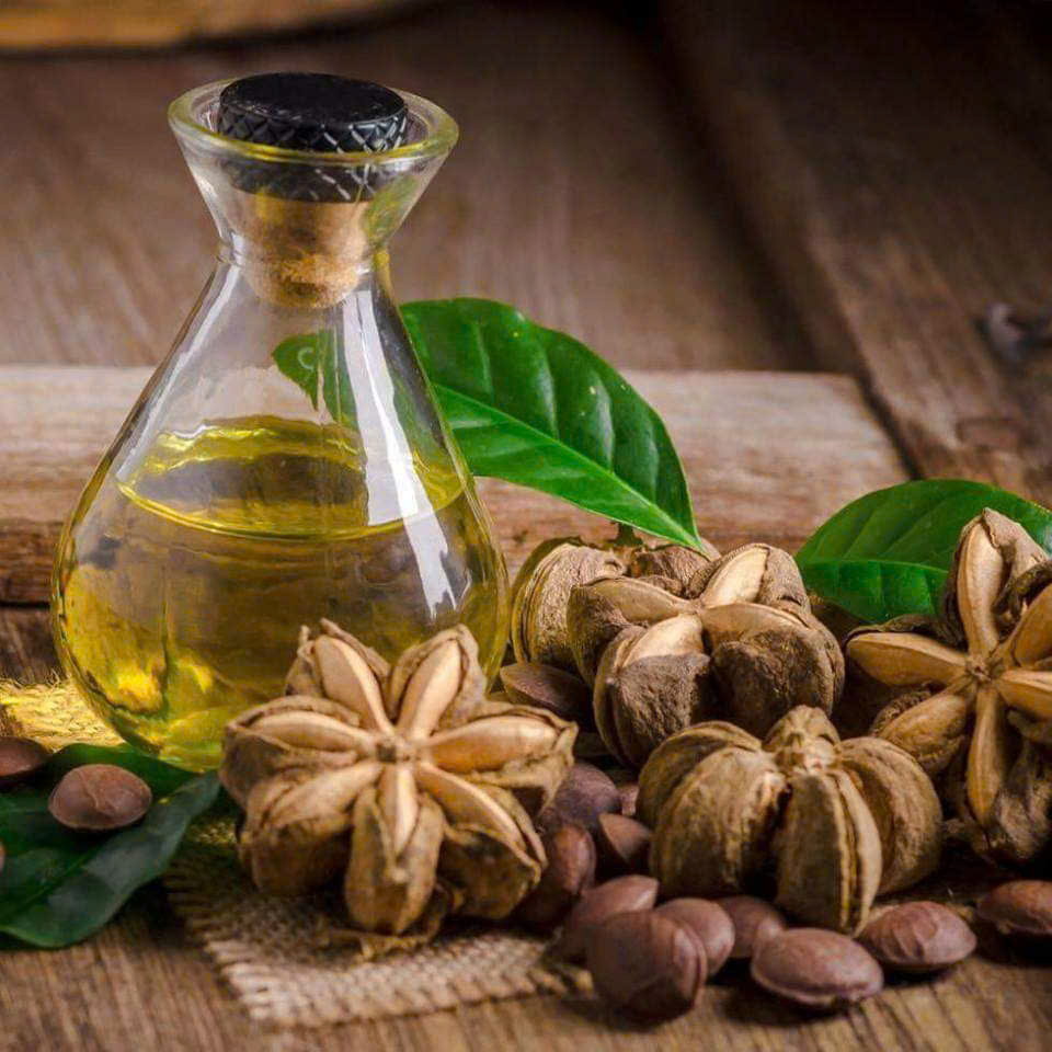 Dầu tẩy trang Dầu tẩy trang